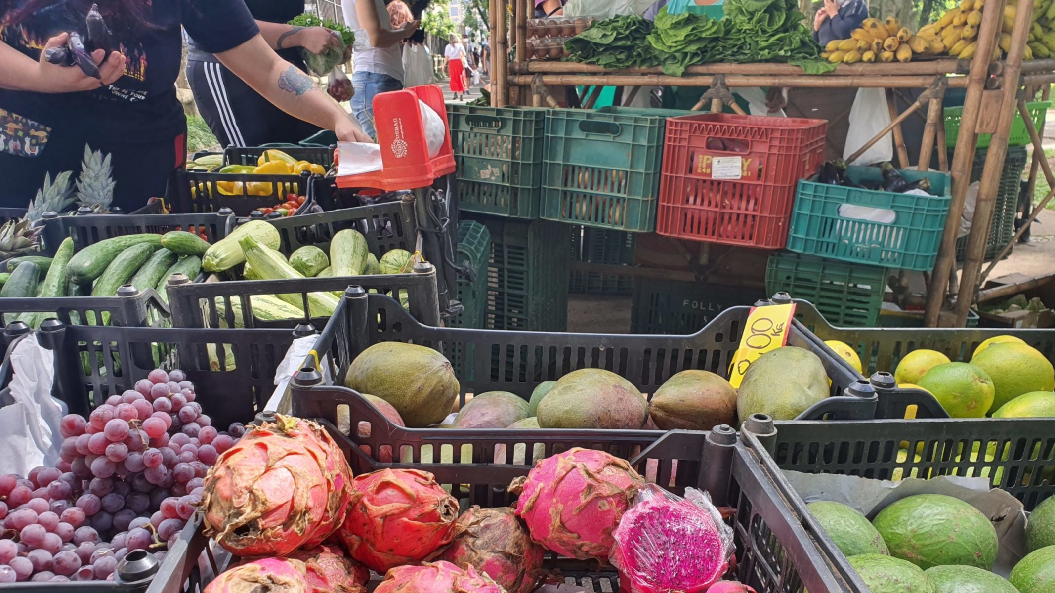 Merenda Escolar: Fundepar reduz os alimentos da agricultura familiar