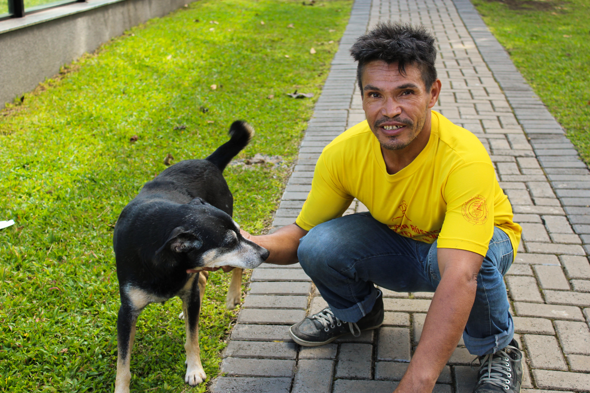Dogs act as daily company to waste pickers in Curitiba