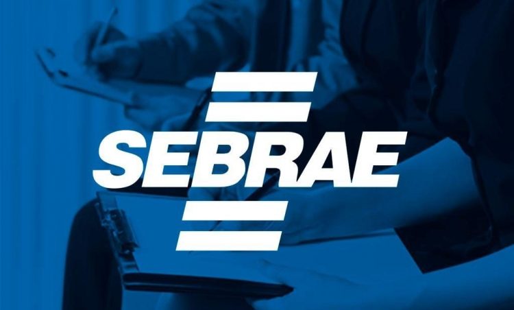 Sebrae lança projeto para impulsionar empreendedorismo feminino