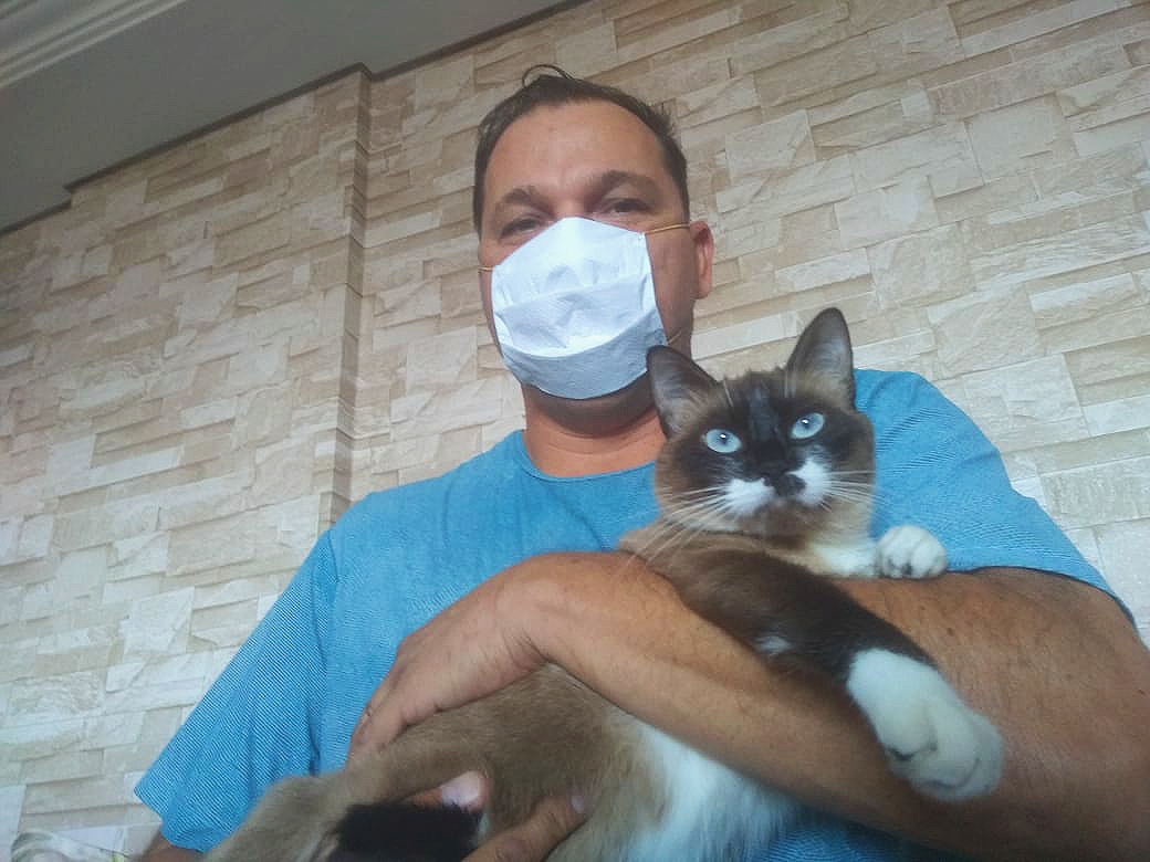 Feiras de adoções de animais migram para as redes sociais durante o COVID-19