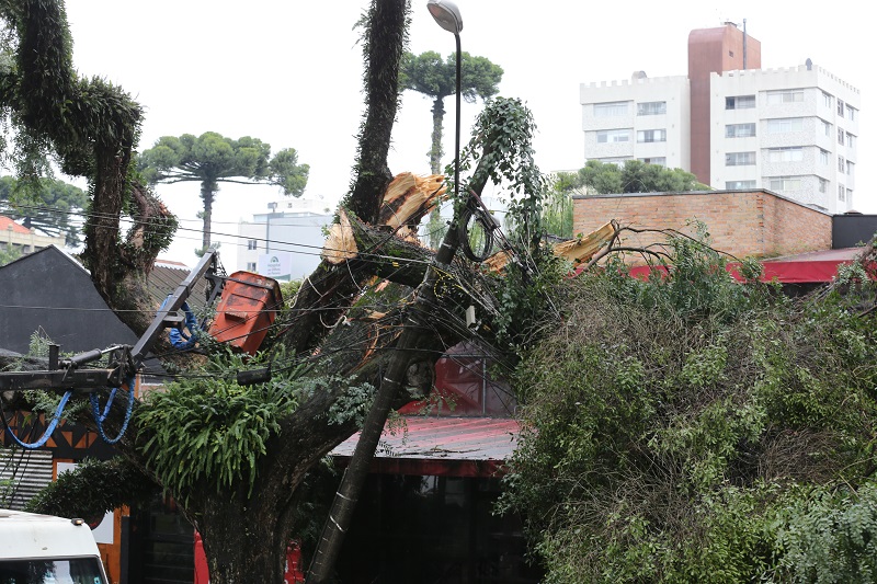 Temporal em Curitiba afeta 8 mil pessoas e causa destruição