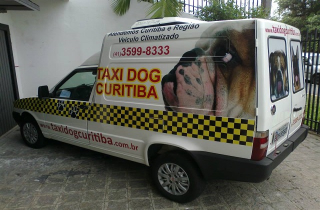 Táxi para animais ganha espaço em Curitiba