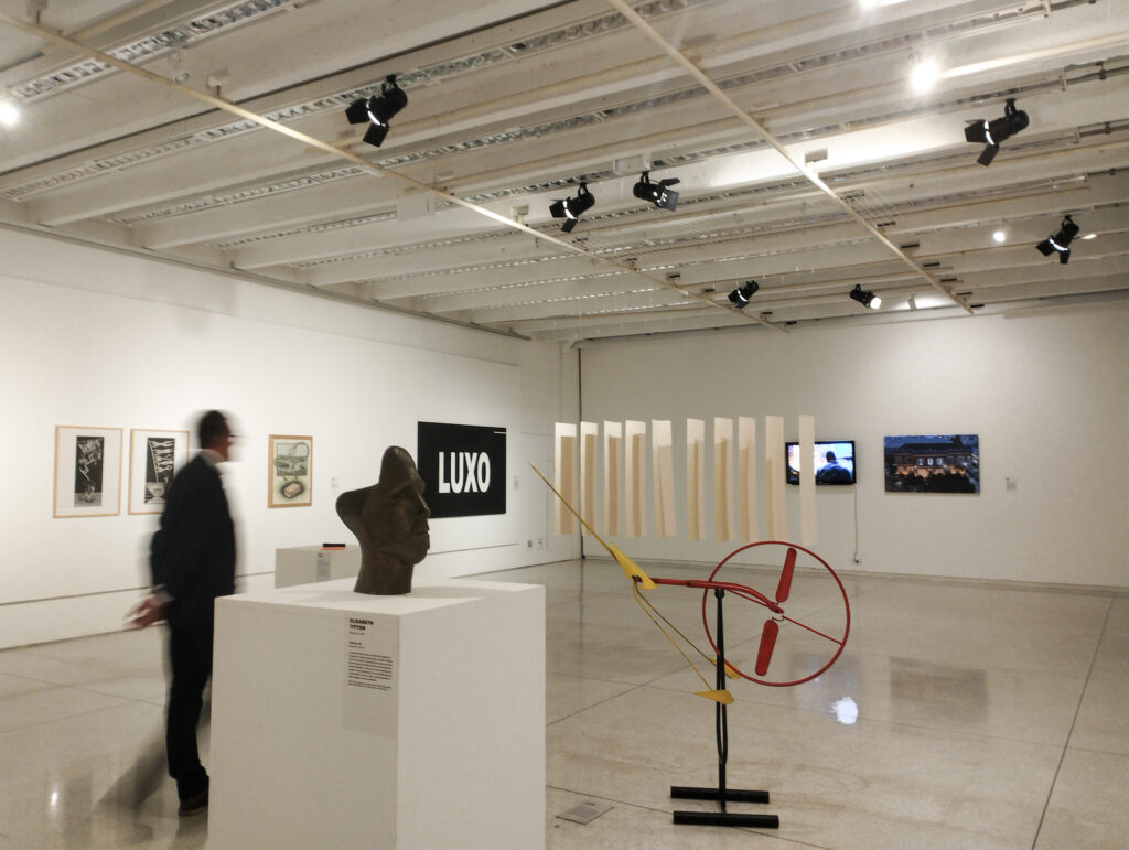 “Luxo", uma das obras expostas nas salas do MAC - Glauco Menta, 2002 