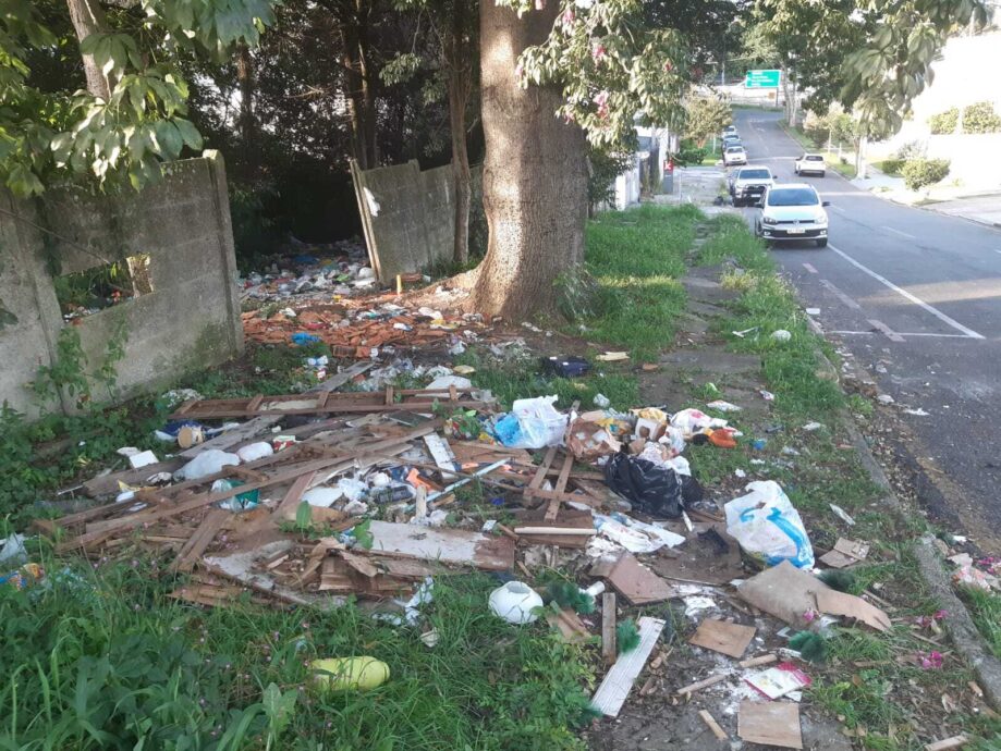 Curitiba recebe mais de seis mil pedidos de limpeza em terrenos baldios no primeiro trimestre de 2025
