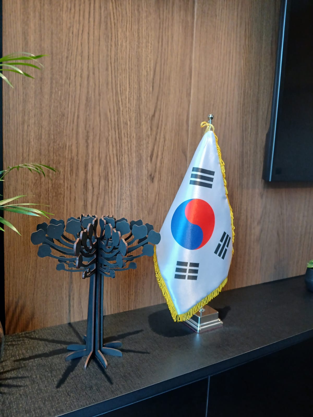 Presença Coreana transforma a cena cultural de Curitiba